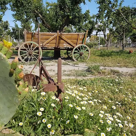 Oasi Le Fontanelle Farm stay Cerignola